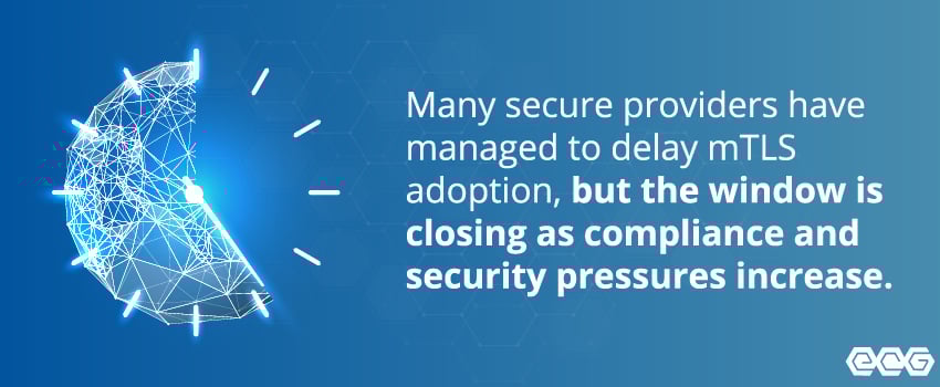 Many secure providers have managed to delay mTLS adoption, but the window is closing as compliance and security pressures increase.